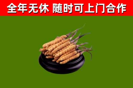 新乡市烟酒回收冬虫夏草.jpg
